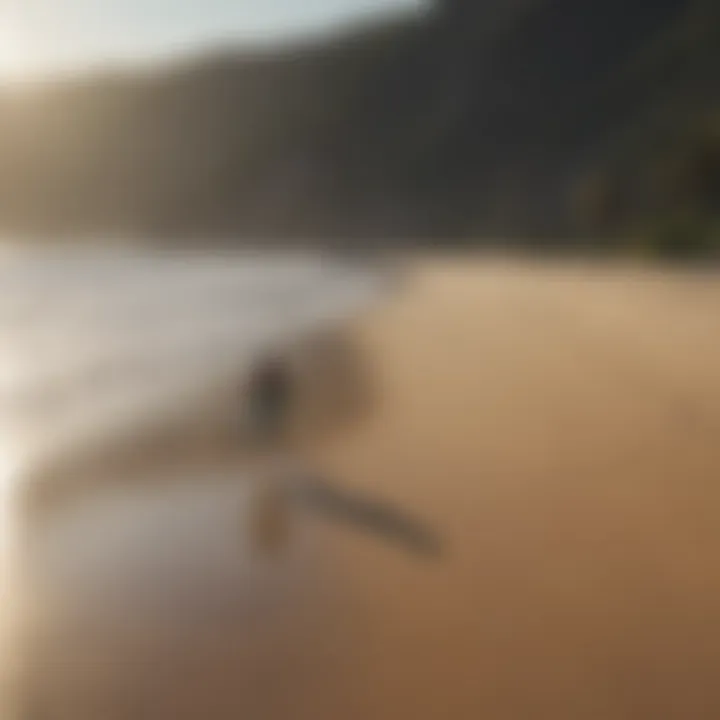 Surfer walking along a secluded beach