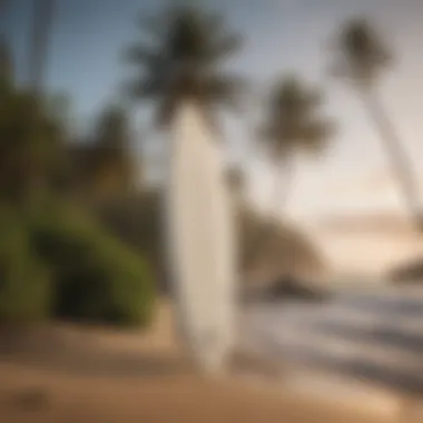 Surfboard standing upright on the shore with palm trees in the background