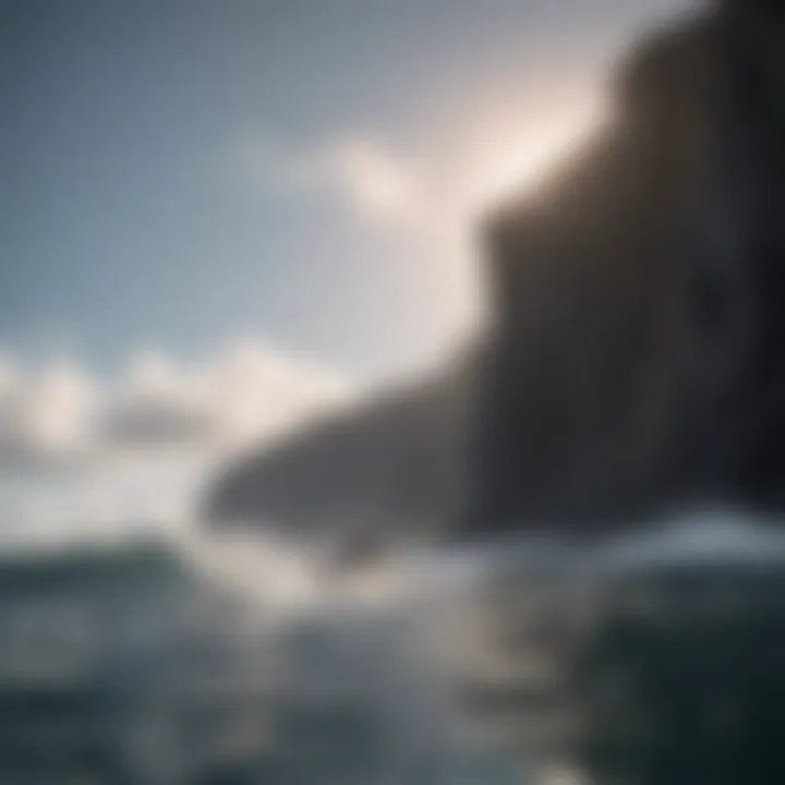 Surfer paddling out into the ocean with volcanic cliffs in the backdrop