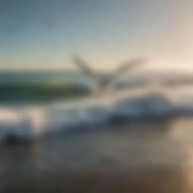 Surfer gracefully riding a wave with seagulls in the background