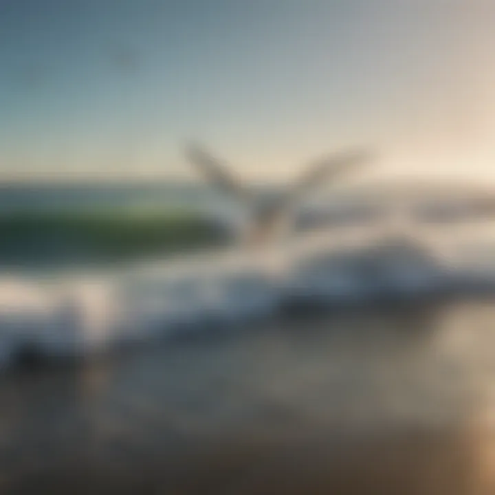 Surfer gracefully riding a wave with seagulls in the background