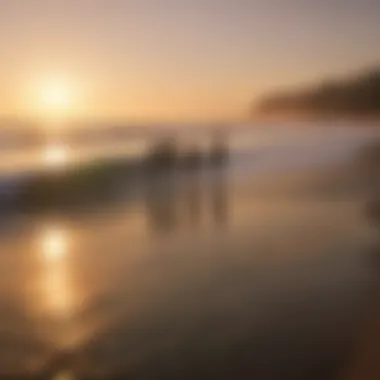 Group of surfers waiting for waves during sunset