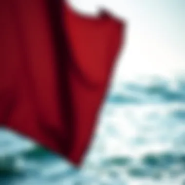 Notable The Significance and Evolution of Sea Flags Notable The Significance and Evolution of Sea Flags