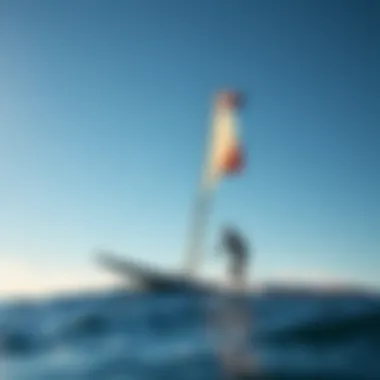 The Significance and Evolution of Sea Flags Summary The Significance and Evolution of Sea Flags Summary