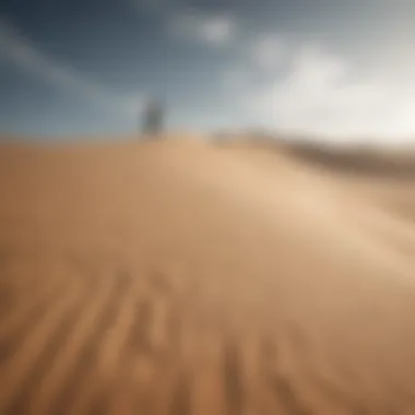 Adventure seeker conquering the vast sand dunes of Peru