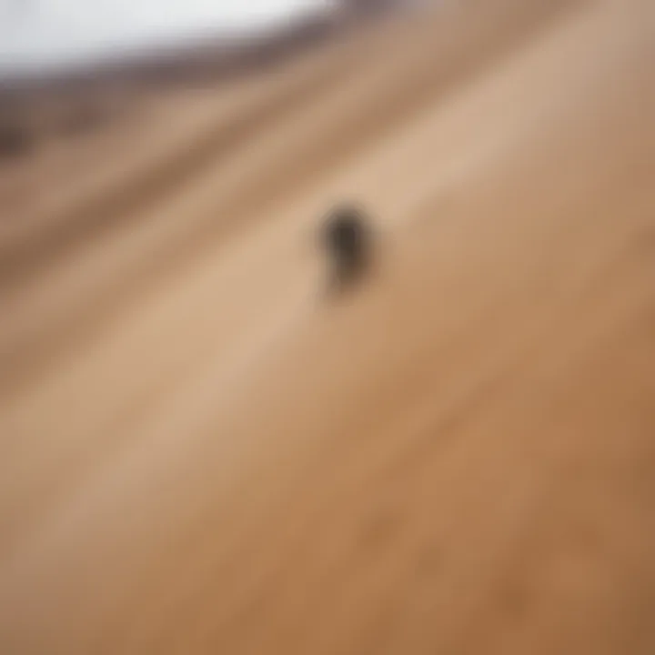 Sandboarder gliding down the steep sandy slopes in Peru