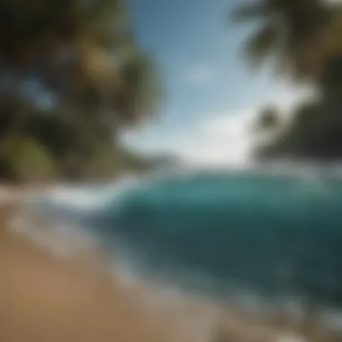 Paradise Found: Montezuma's Tropical Beach Tropical beach with palm trees and crystal-clear waters in Montezuma
