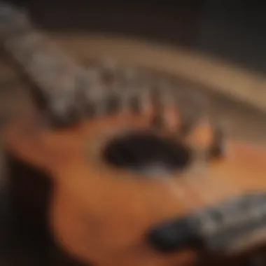 Close-up of ukulele strings and tuning pegs