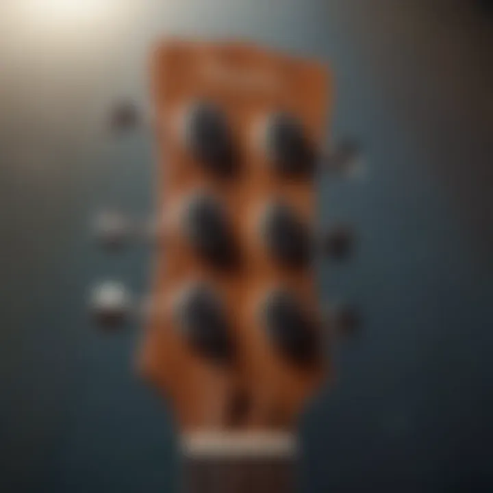 Ukulele Headstock Macro