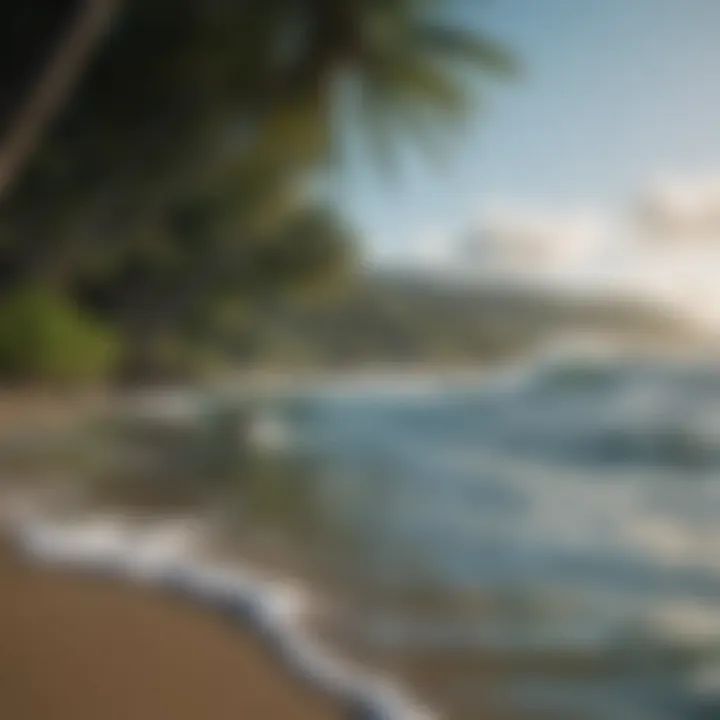 Lush coastline view with surfers in the water