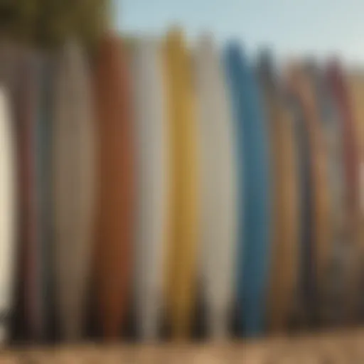 Diverse range of surfboards displayed on a beach