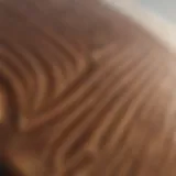 Detailed view of an Olo Alaia surfboard showcasing its unique contours and craftsmanship