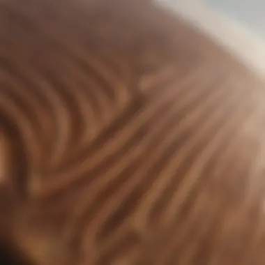 Detailed view of an Olo Alaia surfboard showcasing its unique contours and craftsmanship