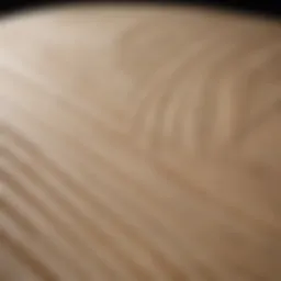 Detailed view of a pre-shaped surfboard blank showcasing its contours