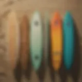 Skimboard selection showcasing various types and designs