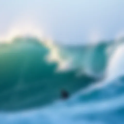 Understanding Surf Prescriptions: A Comprehensive Guide Introduction