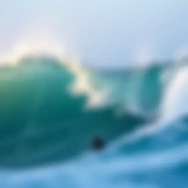 Understanding Surf Prescriptions: A Comprehensive Guide Introduction Understanding Surf Prescriptions: A Comprehensive Guide Introduction