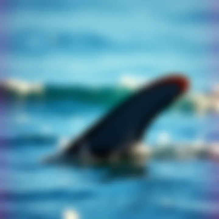 Understanding Swimming Fin Sizes: An In-Depth Analysis Summary