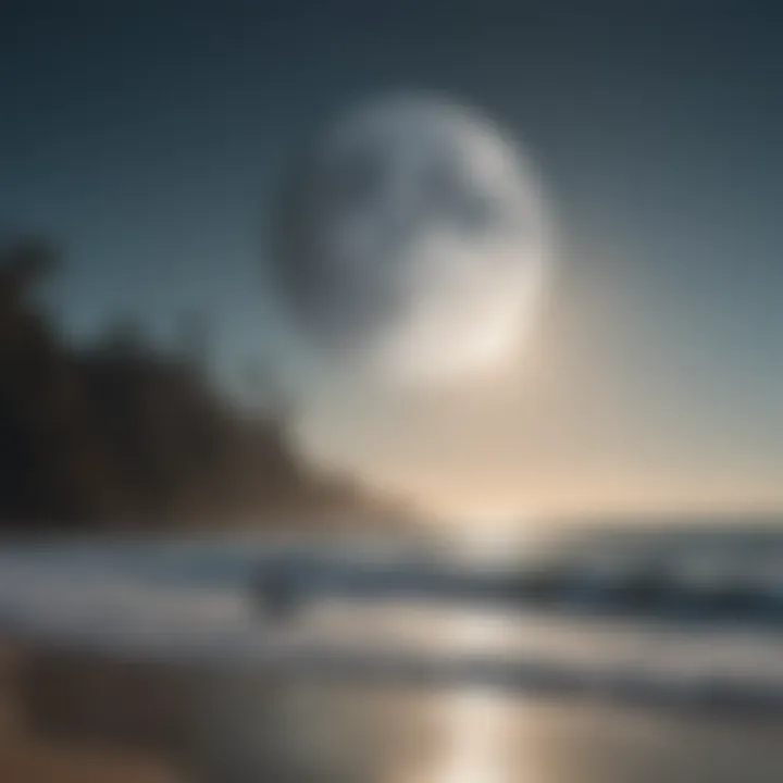 Surfers checking conditions with a lunar calendar