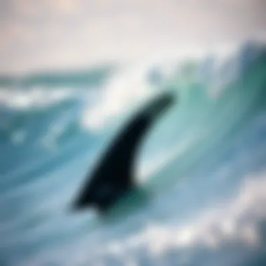 Notable Understanding the Dynamics of ERS4 Fins in Surfboarding
