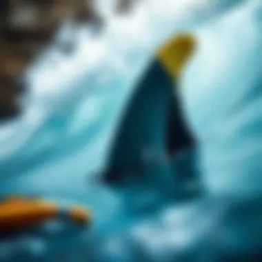 Maintenance tools and tips for extending the life of Wavestorm fins