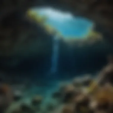 Breath-Taking Underwater Caves in the Great Barrier Reef