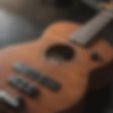 User-Friendly Ukulele Tuning Interface