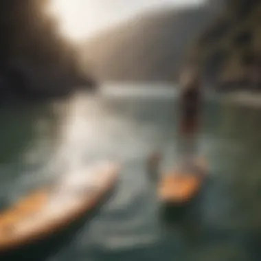 Variety of paddle boards showcasing different shapes and sizes