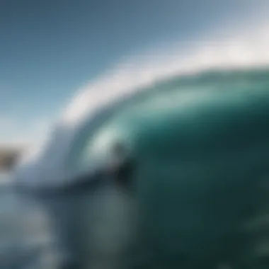 Wind-Enhanced Wave Action Wave Dynamics in Windy Conditions