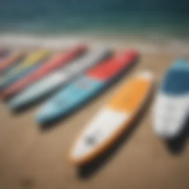 Wide-angle view of diverse paddleboard designs on display