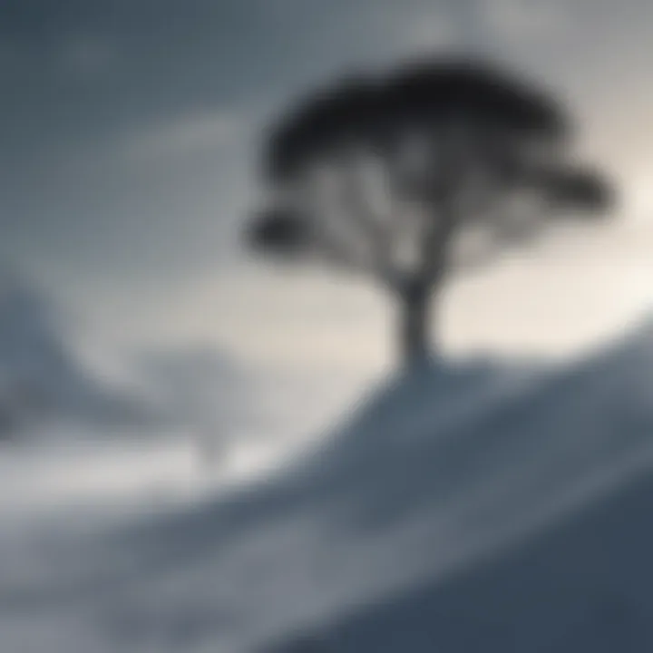 Silhouette of a lone tree against a snowy backdrop